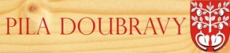 Primary Raster logo